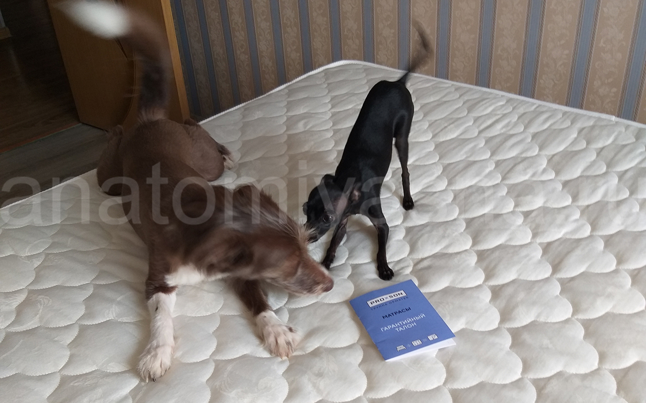 отзыв о Матрас ProSon Twist Standart M фото 5